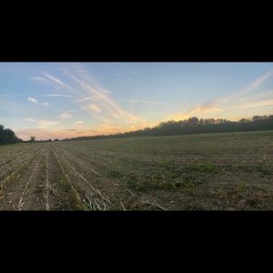 Meet your Posher, Braylee